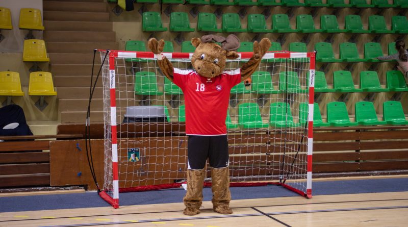 P’tits Élans 2025 : résumé et photos